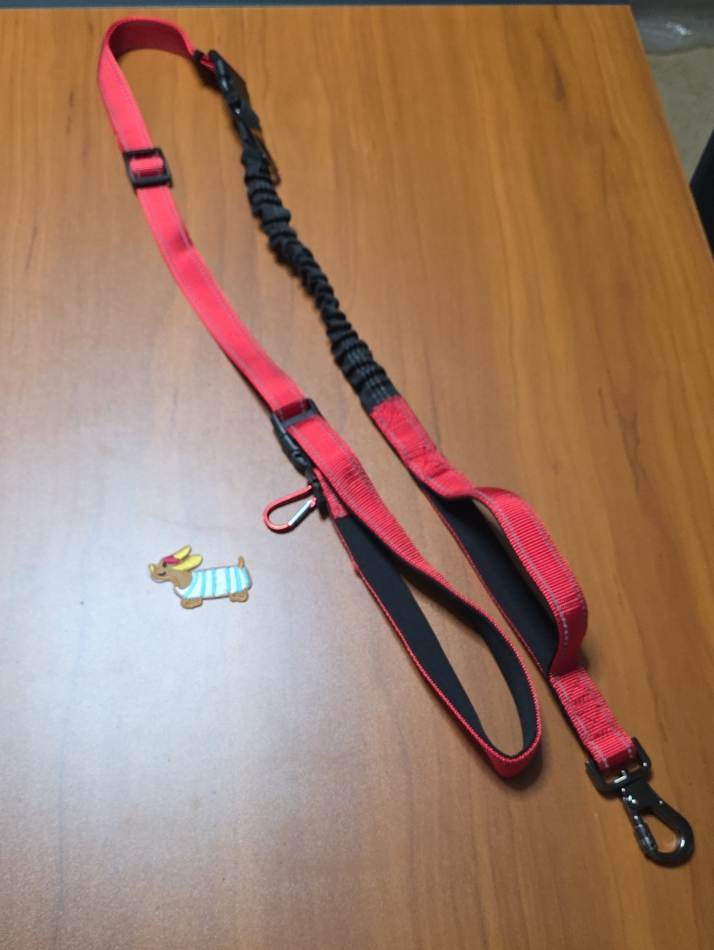 JingJoul 6-in-1 Hands Free Reflective Bungee Dog Leash